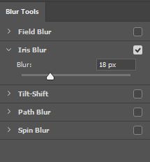 آموزش کار با فیلتر Iris Blur در فتوشاپ