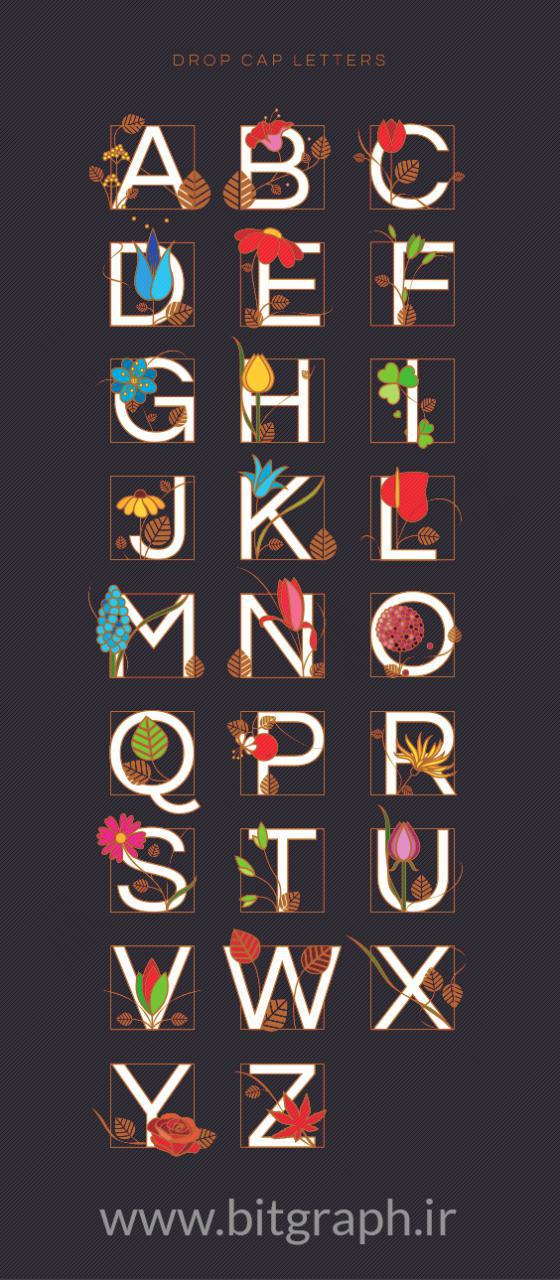 مجموعه ای زیبا از وکتور های تزیینی حروف انگلیسی 