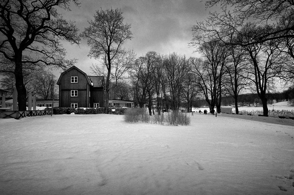 پردازش تصاویر پس از عکاسی از زمستان